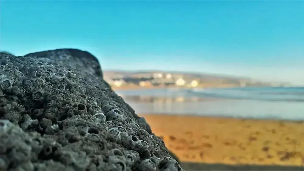 Baya House Sea View Apartment Agadir Morocco
